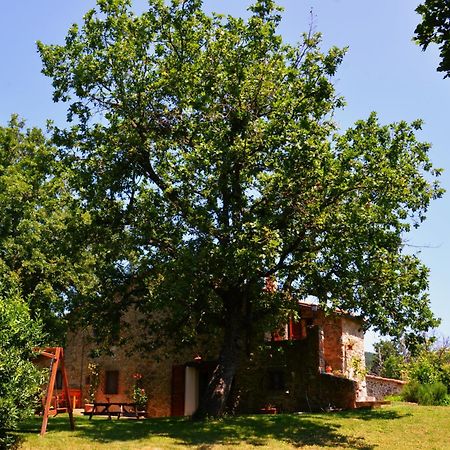 Bed and Breakfast Il Venaio Massa Marittima Exterior foto
