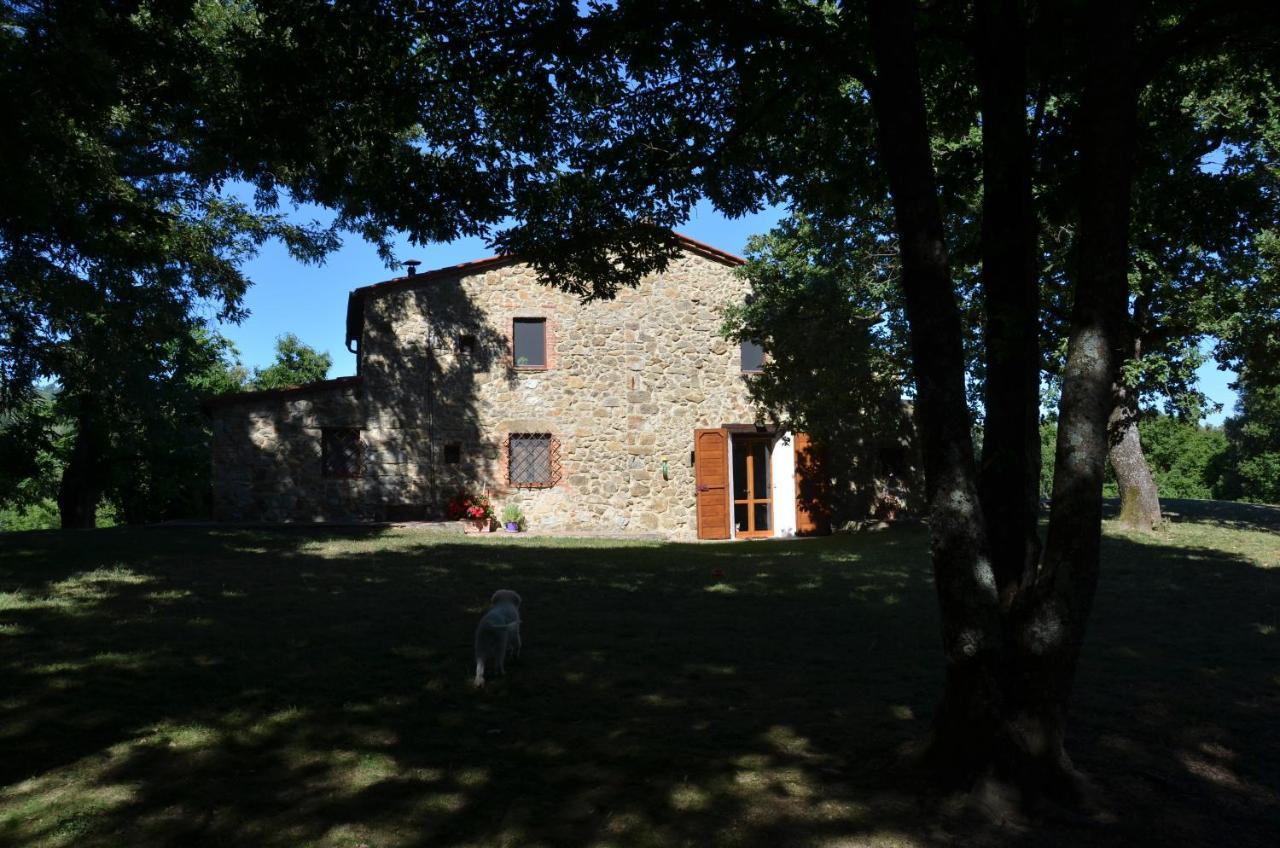 Bed and Breakfast Il Venaio Massa Marittima Exterior foto