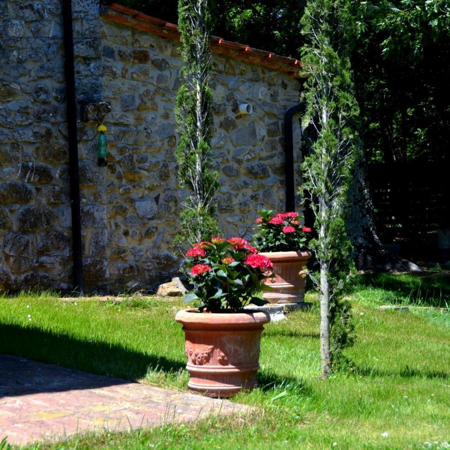 Bed and Breakfast Il Venaio Massa Marittima Exterior foto