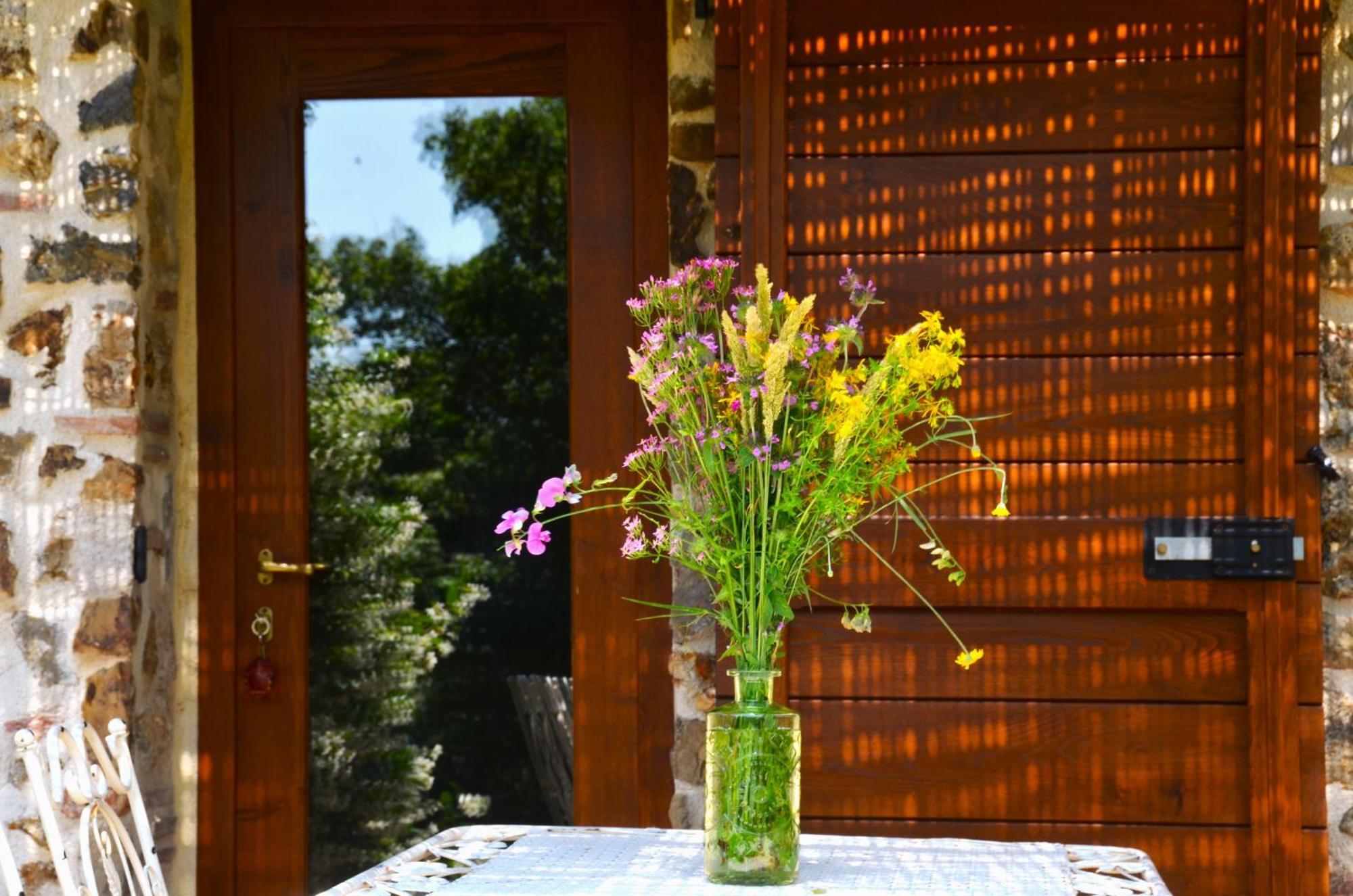 Bed and Breakfast Il Venaio Massa Marittima Exterior foto